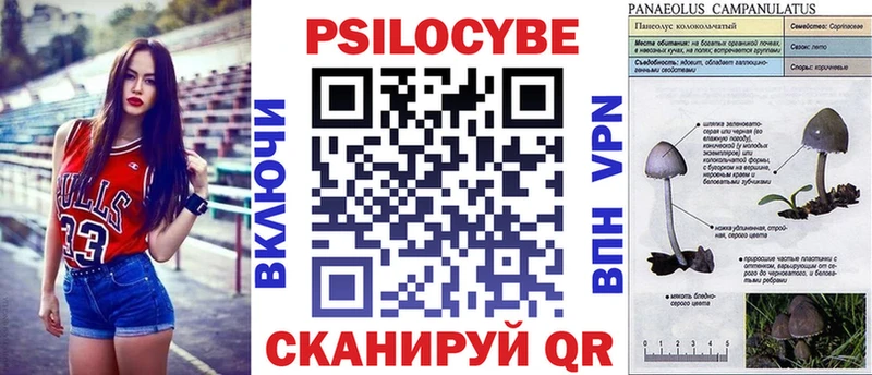 купить Надым Галлюциногенные грибы Psilocybine cubensis